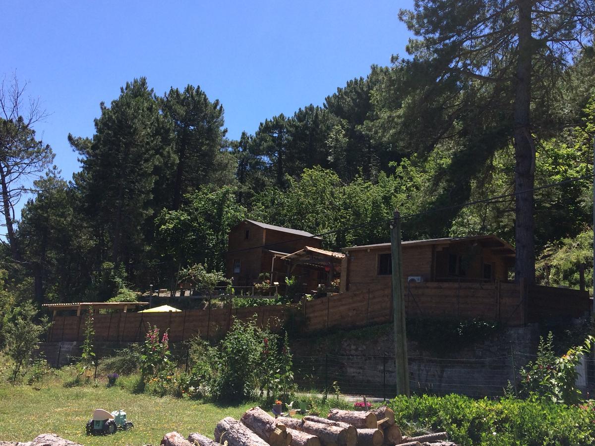 Chalet Vezzani Spa Buitenkant foto